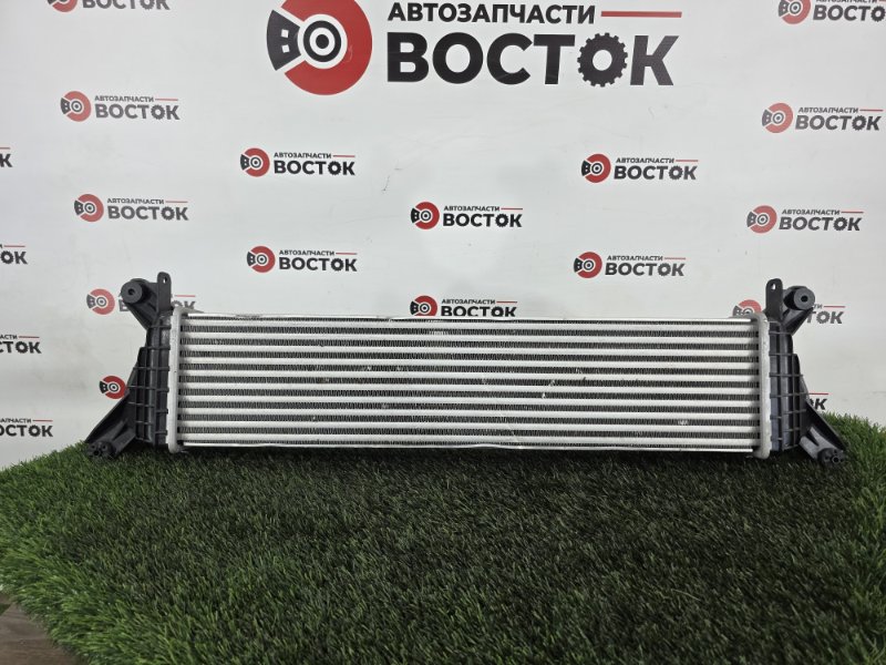 Интеркулер, 12000 рублей, Пешки