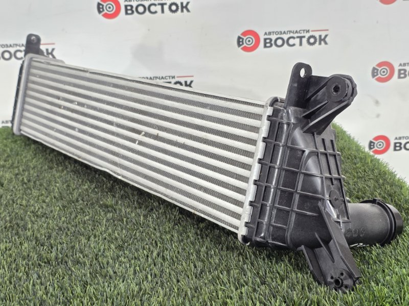 Интеркулер, 12000 рублей, Пешки