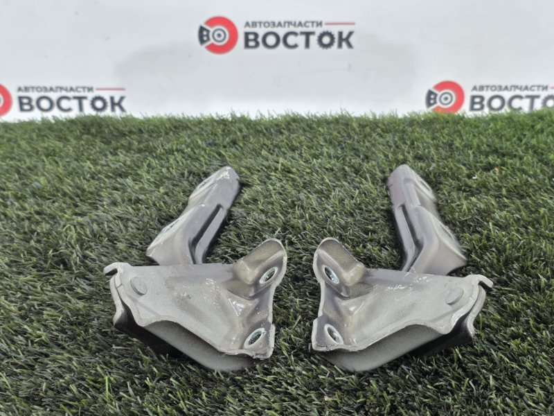 Петля капота, 3000 рублей, Пешки