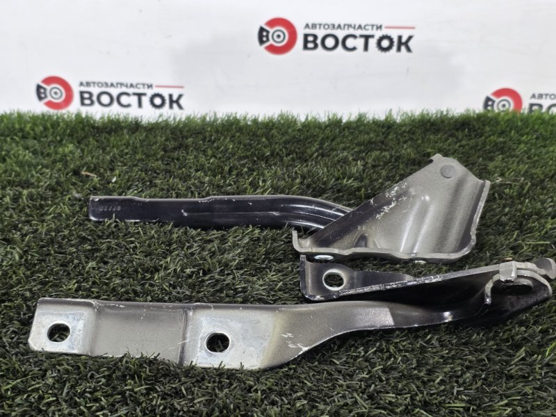 Петля капота, 3000 рублей, Пешки