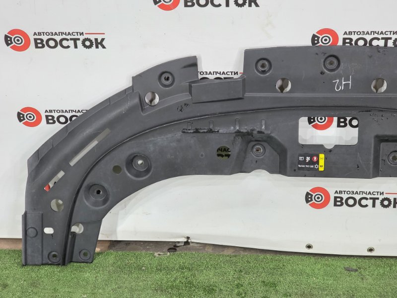 Накладка на рамку радиатора, 3500 рублей, Пешки