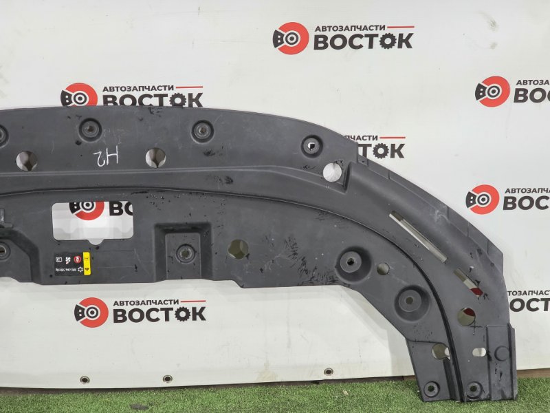 Накладка на рамку радиатора, 3500 рублей, Пешки