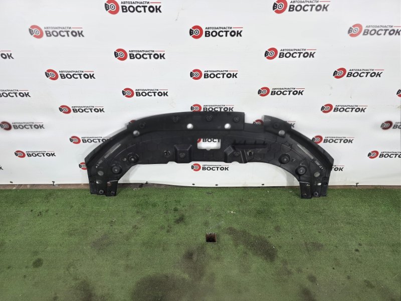 Накладка на рамку радиатора, 3500 рублей, Пешки