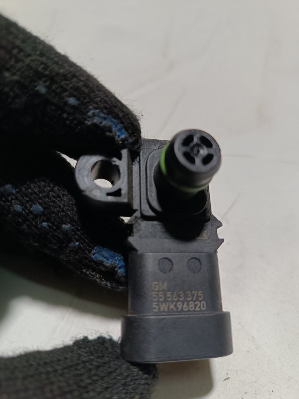 Датчик абсолютного давления, 1000 рублей, Пешки