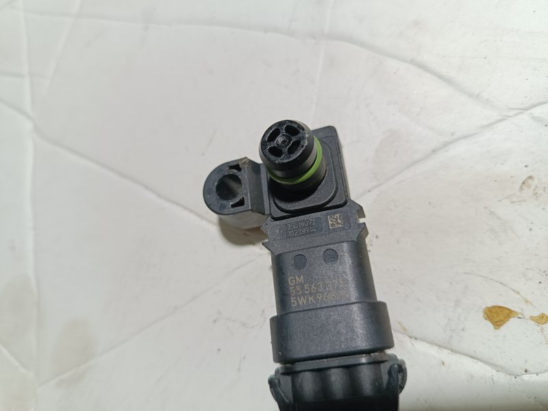 Датчик абсолютного давления, 1000 рублей, Пешки