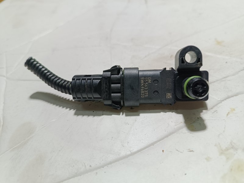 Датчик абсолютного давления, 1000 рублей, Пешки