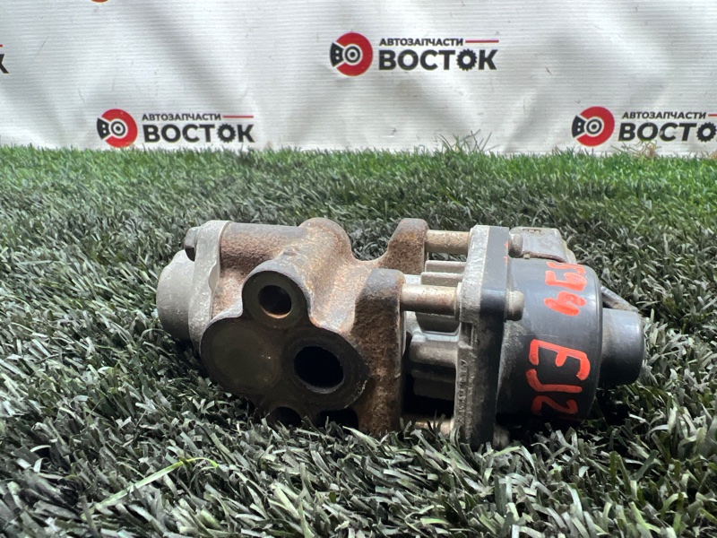 Клапан рециркуляции отработанных газов, 1000 рублей, Пешки