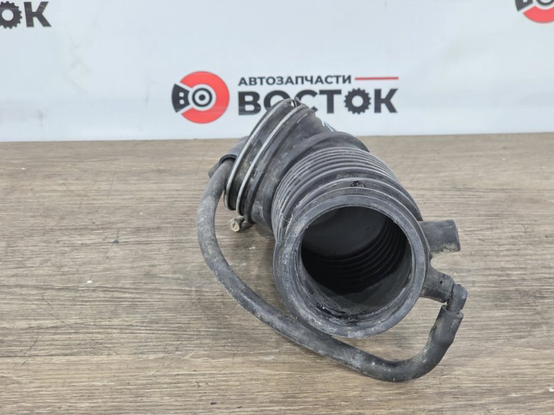 Патрубок дроссельной заслонки, 1000 рублей, Пешки