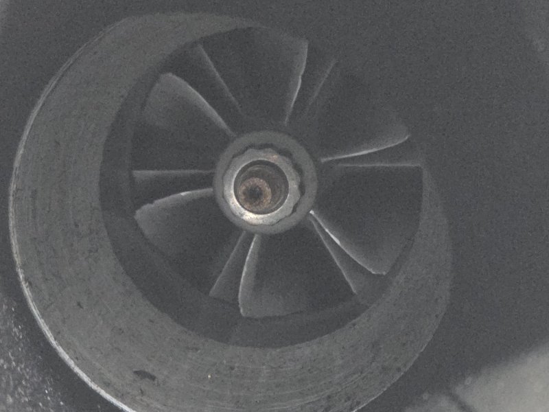 Турбина, 25000 рублей, Пешки