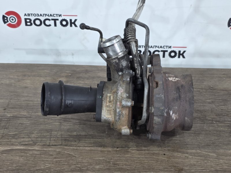 Турбина, 25000 рублей, Пешки