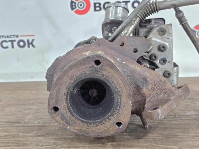 Турбина, 25000 рублей, Пешки