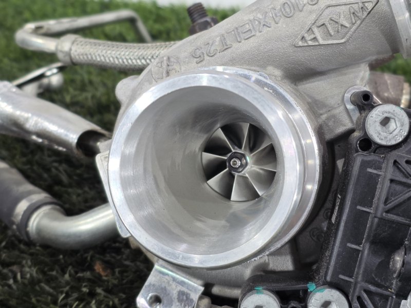 Турбина, 40000 рублей, Пешки