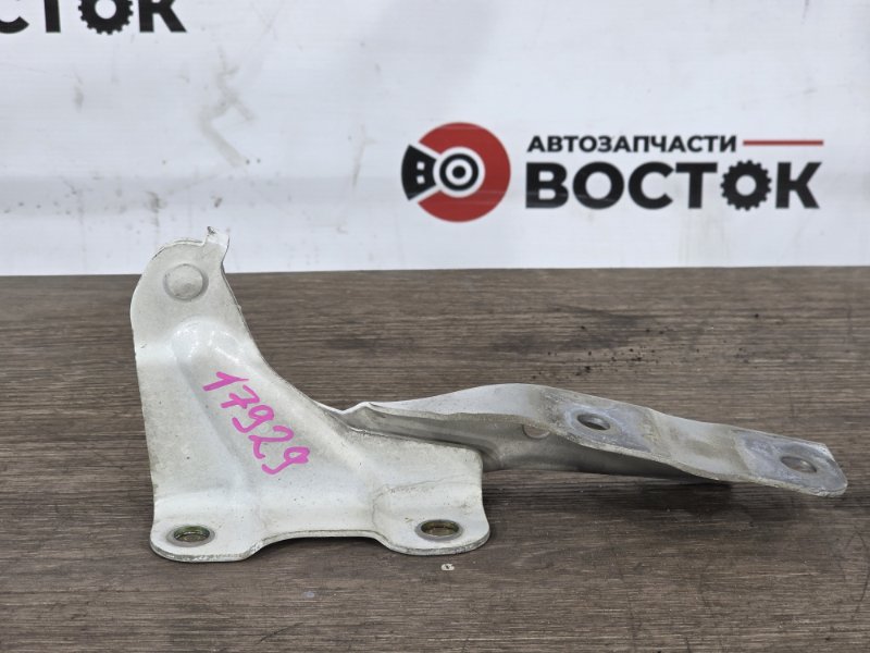 Петля капота, 3000 рублей, Пешки