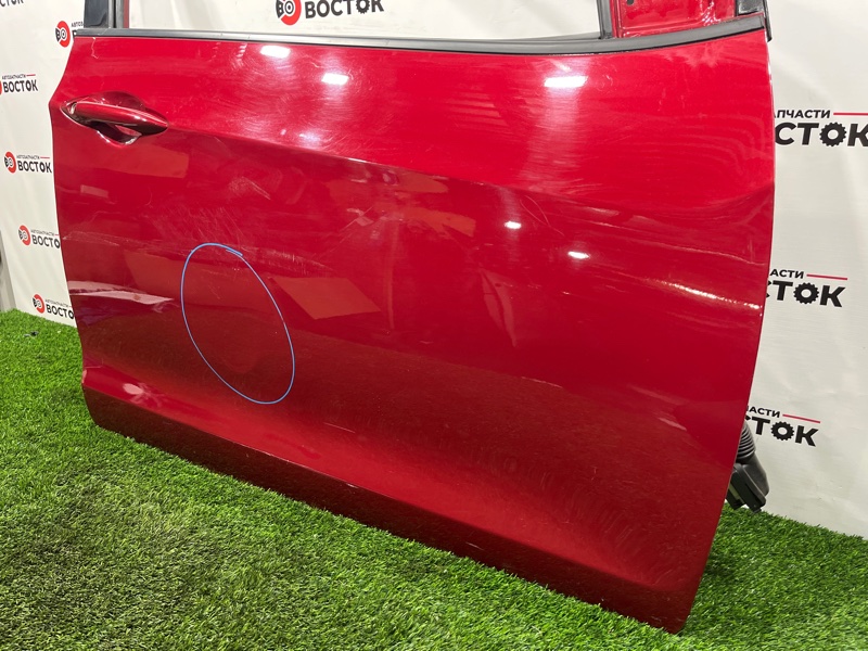 Дверь, 25000 рублей, Пешки