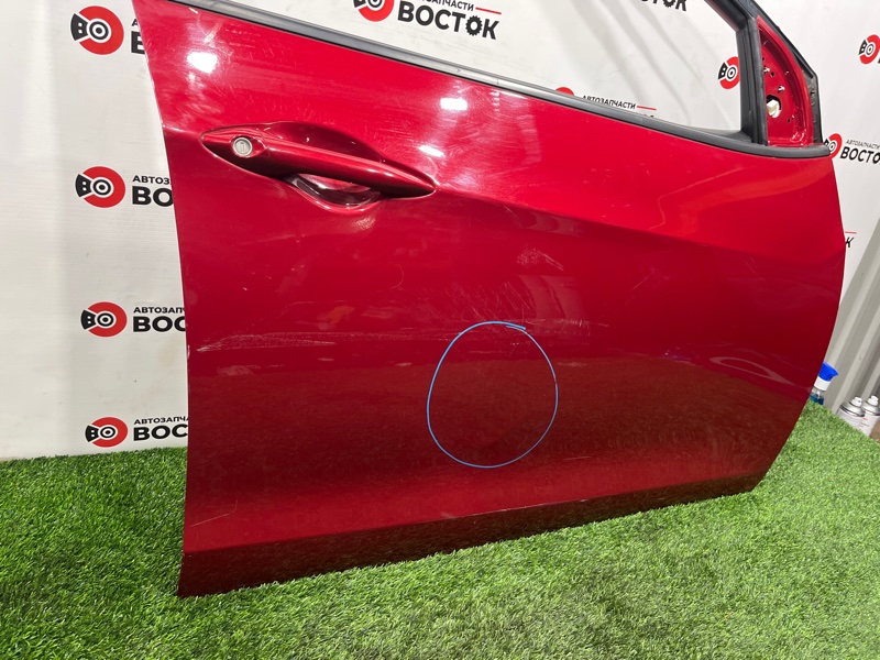 Дверь, 25000 рублей, Пешки