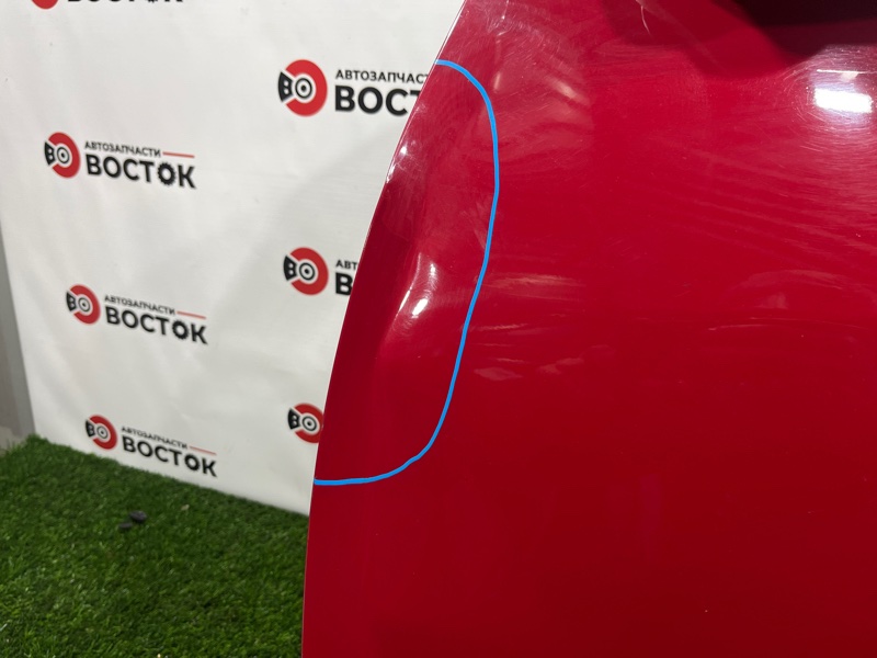 Дверь, 25000 рублей, Пешки