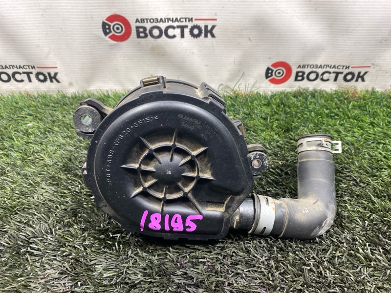 Помпа, 3000 рублей, Пешки