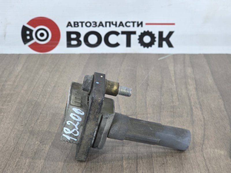 Катушка зажигания, 1000 рублей, Пешки