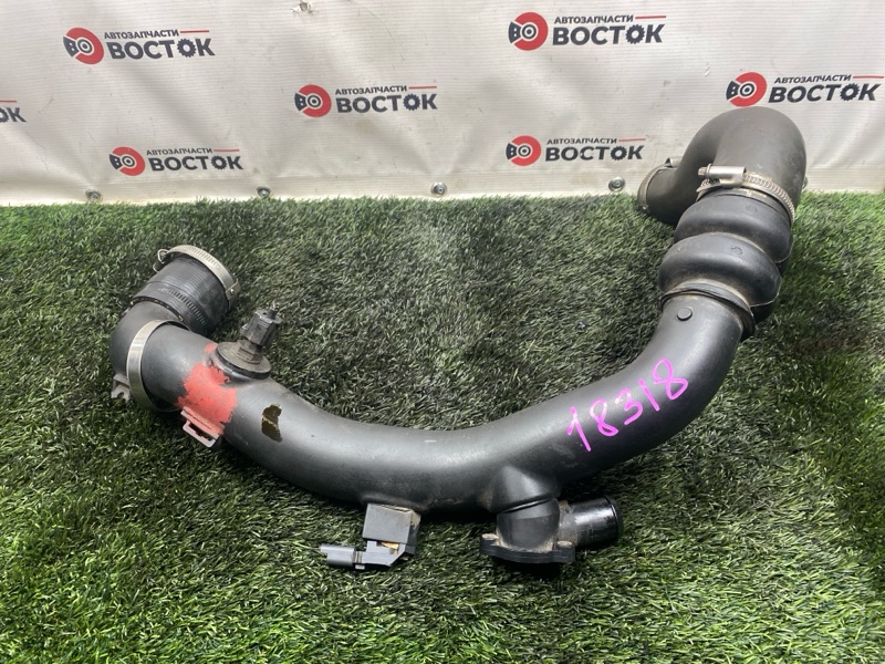 Патрубок интеркулера, 3500 рублей, Пешки