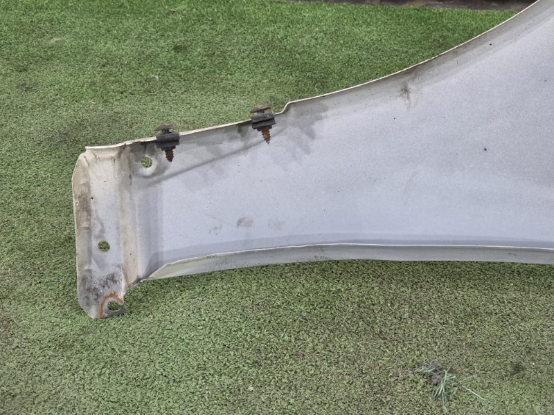 Крыло, 6500 рублей, Пешки