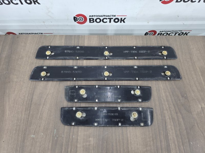 Накладка на порог салона, 3000 рублей, Пешки