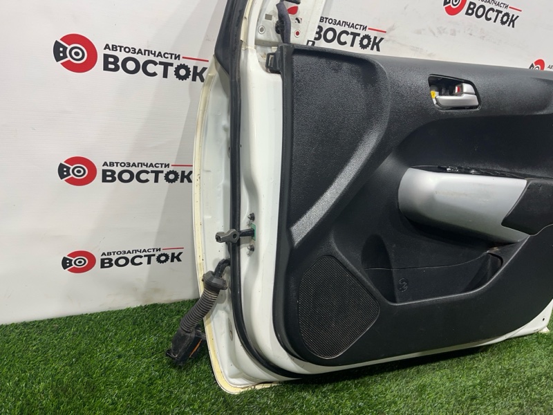 Дверь, 40000 рублей, Пешки