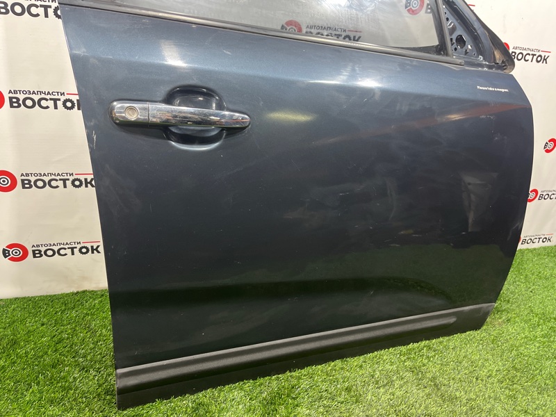 Дверь, 30000 рублей, Пешки