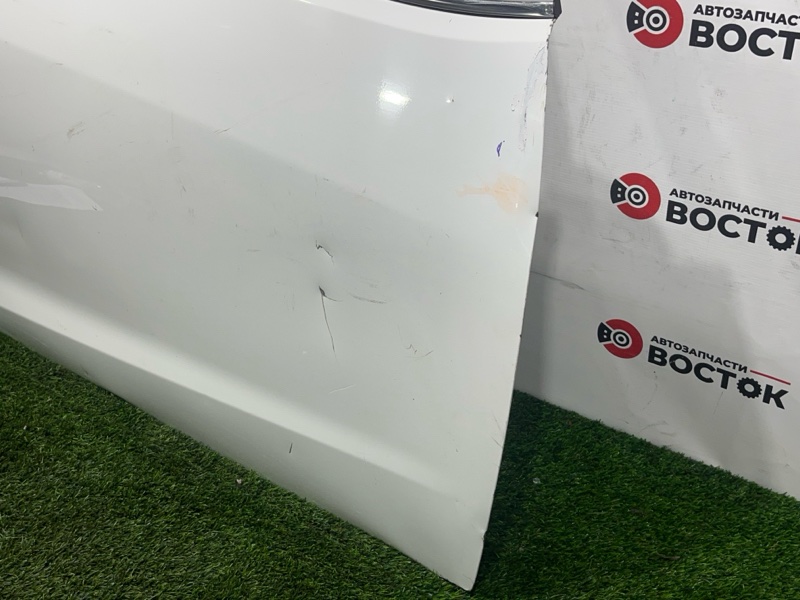 Дверь, 25000 рублей, Пешки