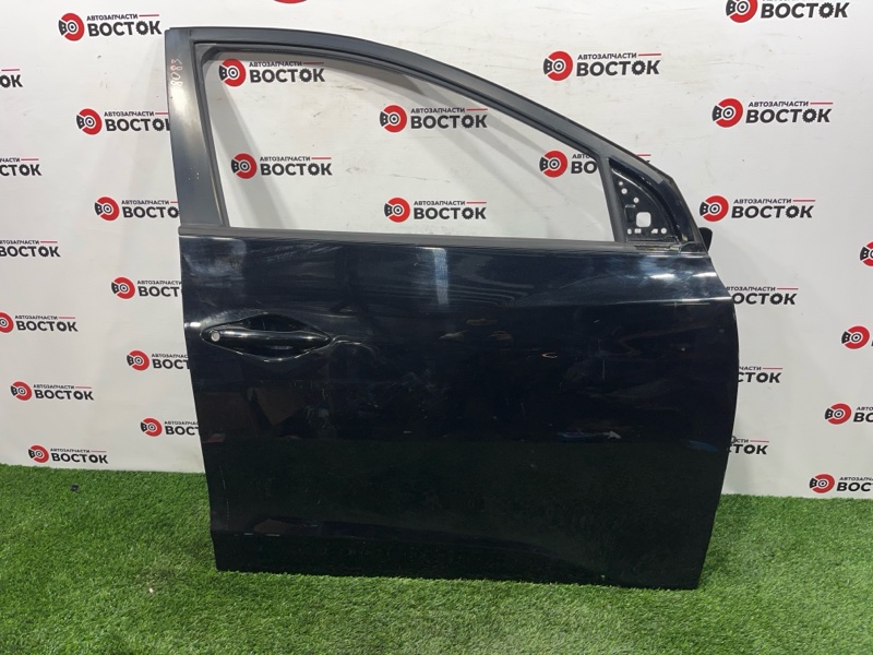 Дверь, 20000 рублей, Пешки