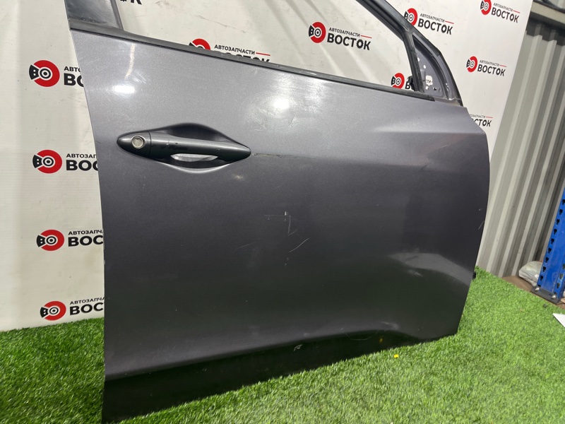 Дверь, 20000 рублей, Пешки