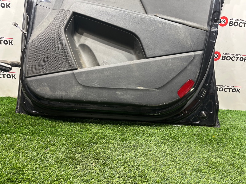 Дверь, 25000 рублей, Пешки