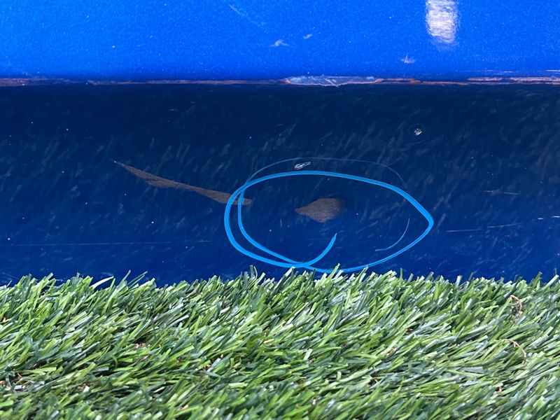 Дверь, 30000 рублей, Пешки