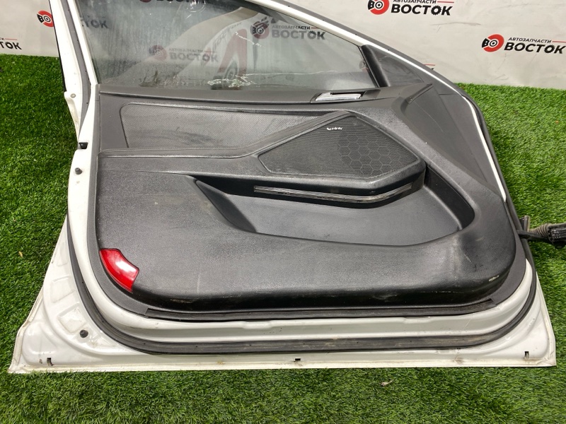 Дверь, 40000 рублей, Пешки