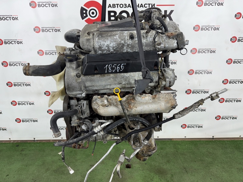 Двигатель, 160000 рублей, Пешки