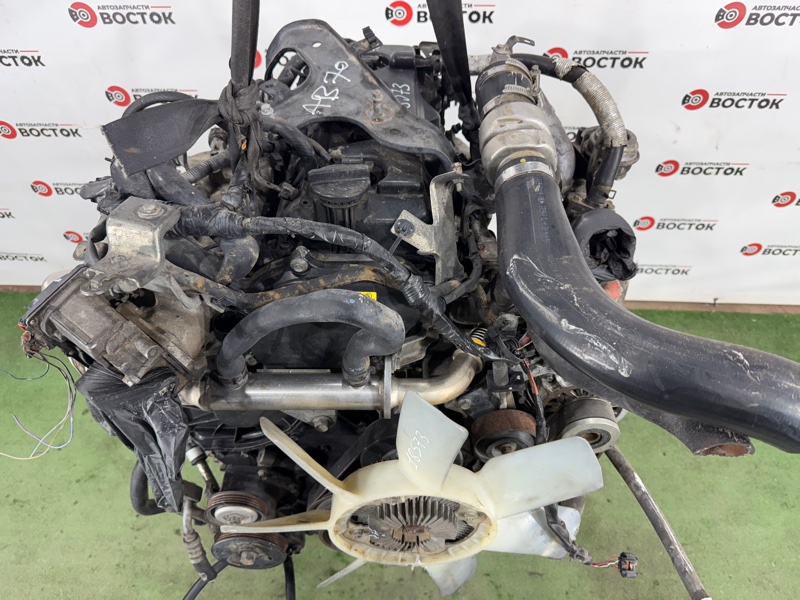 Двигатель, 260000 рублей, Пешки