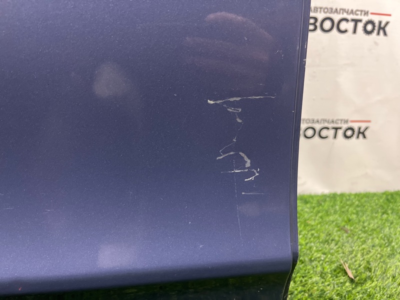 Дверь, 15000 рублей, Пешки