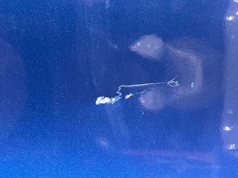 Дверь, 20000 рублей, Пешки