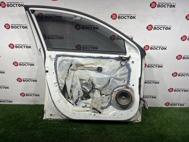 Дверь, 30000 рублей, Пешки