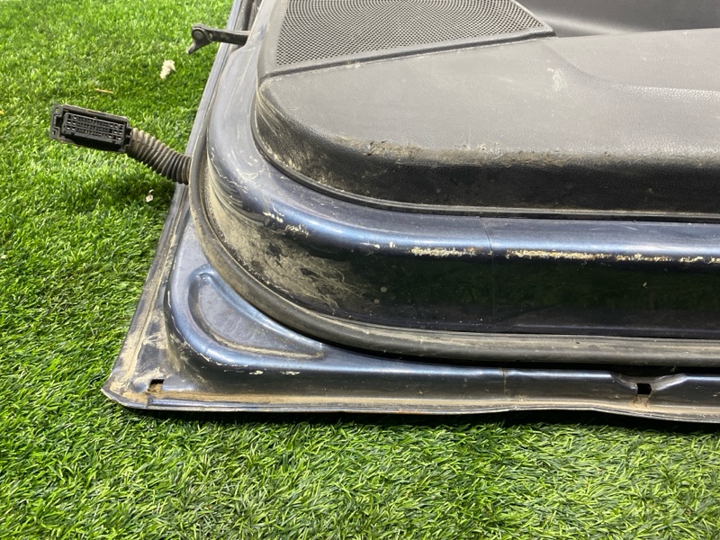 Дверь, 25000 рублей, Пешки