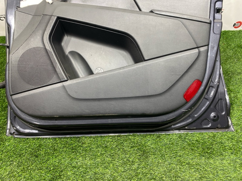 Дверь, 20000 рублей, Пешки