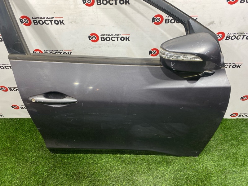 Дверь, 20000 рублей, Пешки