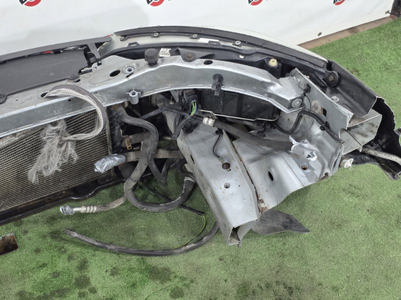 НОУСКАТ, 50000 рублей, Пешки