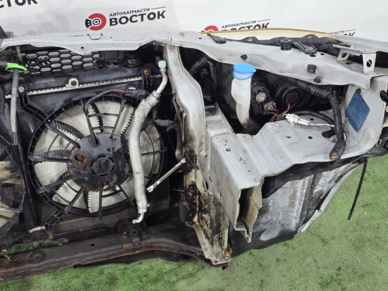 НОУСКАТ, 65000 рублей, Пешки