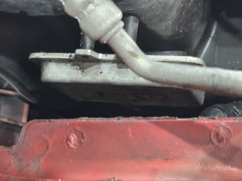 НОУСКАТ, 80000 рублей, Пешки