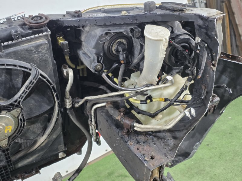 НОУСКАТ, 65000 рублей, Пешки