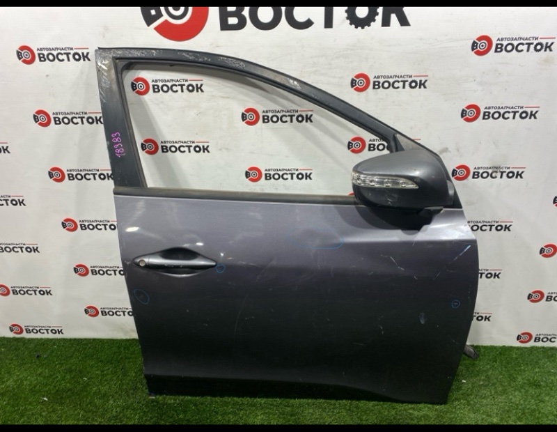 Дверь, 20000 рублей, Пешки