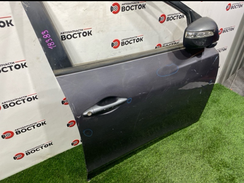 Дверь, 20000 рублей, Пешки