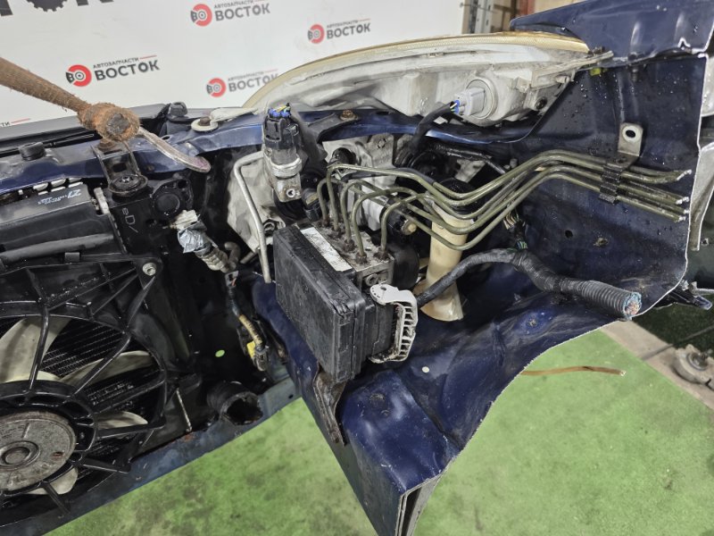 НОУСКАТ, 50000 рублей, Пешки