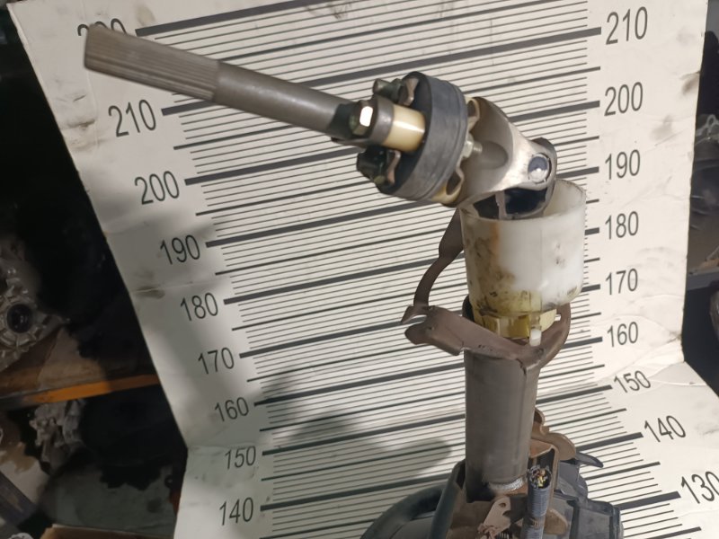 Руль, 8000 рублей, Пешки