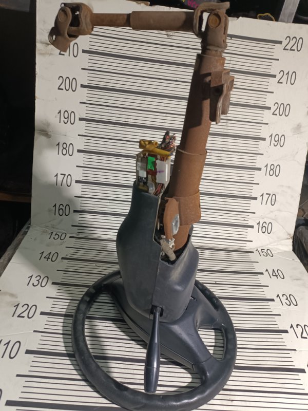 Руль, 5000 рублей, Пешки